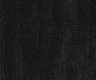 BAM-J096